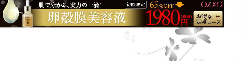 Z炢̗ketTCg